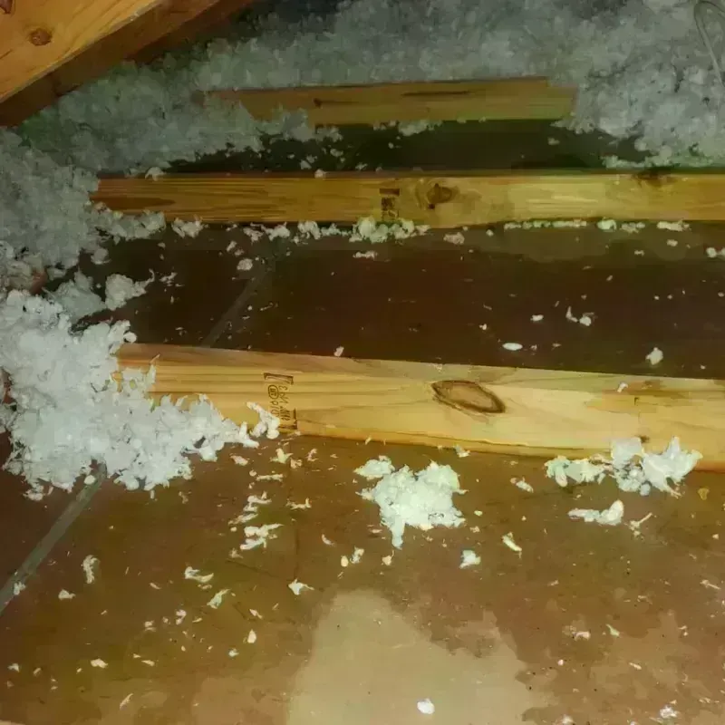 Attic Water Damage in Troy, MO