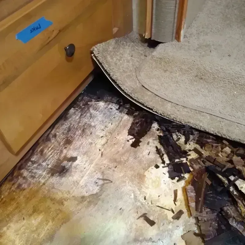 Wood Floor Water Damage in Troy, MO